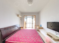 整租·盛世康城 1室1厅 东南_盛世康城租房