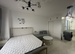 整租·兴田上城 1室1厅 东南_兴田上城租房