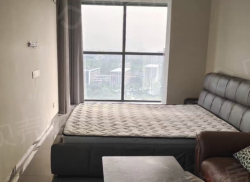 整租·恒信·金悦汇 1室1厅 南_恒信·金悦汇租房