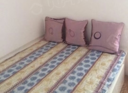 整租·福春七小区(福春街) 1室1厅 南_福春七小区(福春街)租房