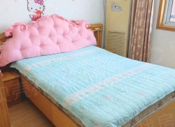 整租·珍城公寓 1室1厅 北_珍城公寓租房