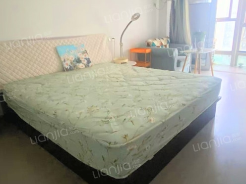 整租·苏州世茂广场（姑苏） 1室1厅 南