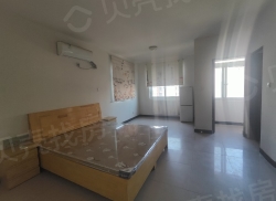 整租·龙城新居 1室1厅 北_龙城新居租房