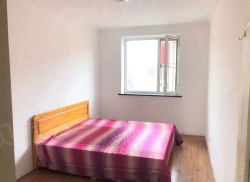 整租·虹园新村 2室1厅 南/北_虹园新村租房