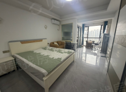 整租·新天地 1室1厅 南_新天地租房