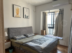 整租·时代广场 1室1厅 南_时代广场租房