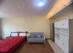 整租·三迪国际公寓 1室1厅 南_三迪国际公寓租房