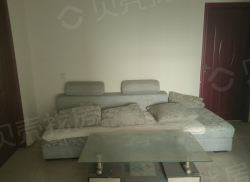 整租·黎明公寓北区 2室1厅 东南_黎明公寓北区租房