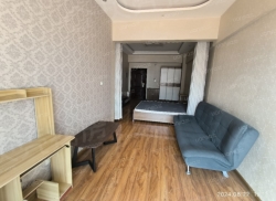 整租·银座中心 1室1厅 南/北_银座中心租房