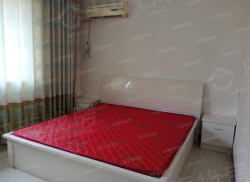 整租·小康小区 2室2厅 东南_小康小区租房