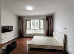 整租·伯爵盛世纪 1室1厅 南_伯爵盛世纪租房