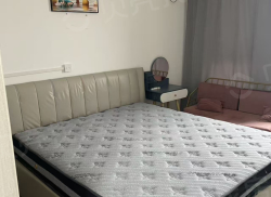 整租·帝湖世家 1室1厅 南_帝湖世家租房