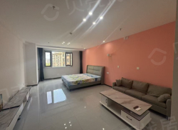 整租·铂悦山四期 1室1厅 南_铂悦山四期租房