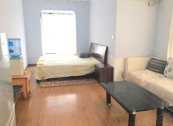 整租·莱佛士帝景 1室1厅 东/东南/南_莱佛士帝景租房