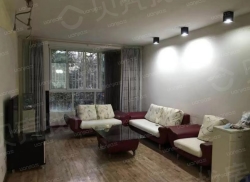 整租·福康自有自宅 2室2厅 南_福康自有自宅租房