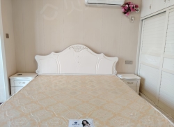 整租·天成中央公馆 1室1厅 南/北_天成中央公馆租房