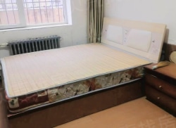 整租·红星社区 1室1厅 南/北_红星社区租房