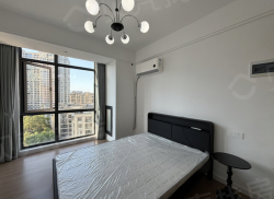 整租·新经济数字广场 1室1厅 南_新经济数字广场租房