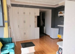 整租·尚海湾峰汇国际 1室1厅 东北_尚海湾峰汇国际租房