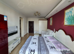 整租·奥林星城北区 1室1厅 北_奥林星城北区租房