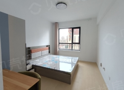 整租·盛世华府 1室1厅 南_盛世华府租房