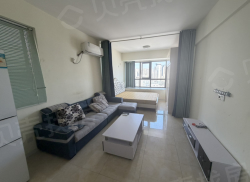 整租·中大财富广场 1室1厅 南_中大财富广场租房