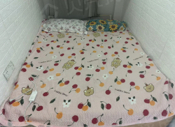 整租·纤维街 1室1厅 南_纤维街租房