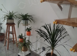 整租·巴黎国际广场 2室1厅 北_巴黎国际广场租房