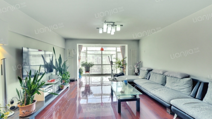 红旗嘉园二手房实景图