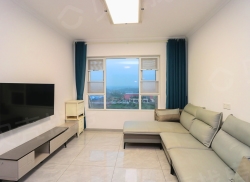 整租·远达城南壹号 3室2厅 南_远达城南壹号租房