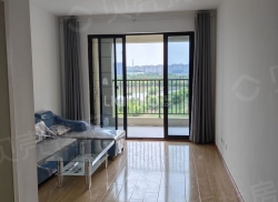 整租·新华联铂悦府 2室2厅 南_新华联铂悦府租房