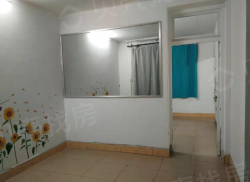 整租·红星街4号 2室1厅 南_红星街4号租房