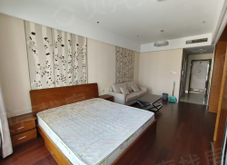 整租·环球金融城 1室1厅 南_环球金融城租房