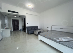 整租·盛润广场 1室1厅 东南_盛润广场租房