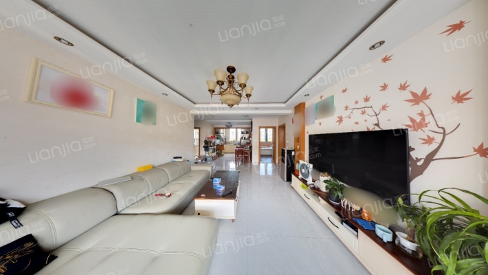 青苑新村五区东二手房实景图