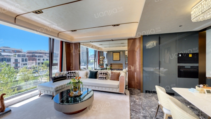 大华紫樾府二手房实景图