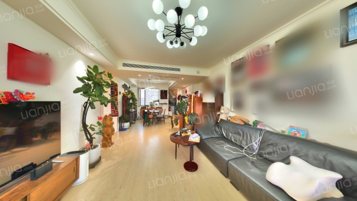 TBD云集中心二手房实景图