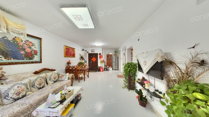 台安274二手房实景图