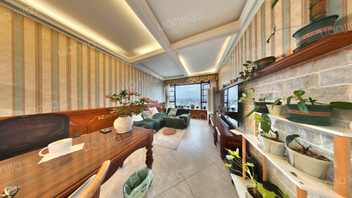 龙湖金楠天街二手房实景图