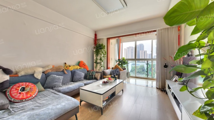 红枫岭三期二手房实景图