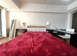 整租·晶都公馆 1室0厅 东南_晶都公馆租房