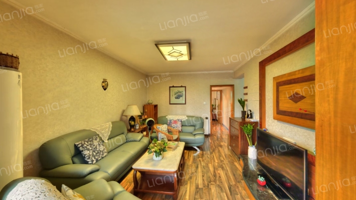 林家坡1号二手房实景图