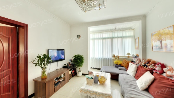 毛纺厂家属区二手房实景图