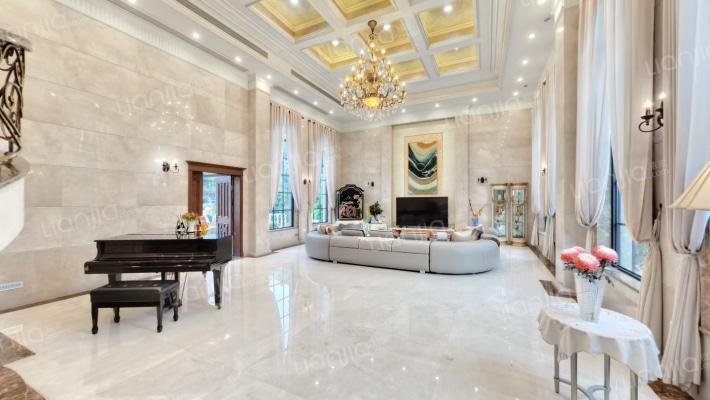 龙湖香樟林别墅二手房实景图