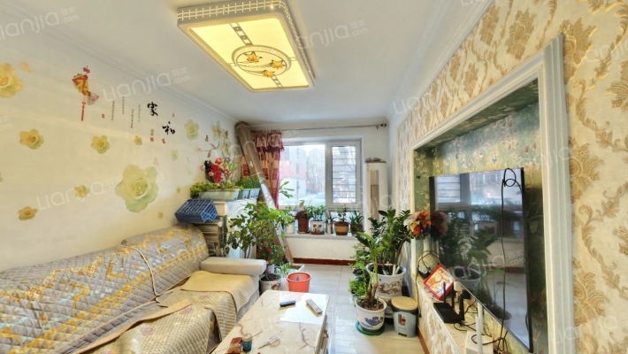 龙翔苑三期二手房实景图