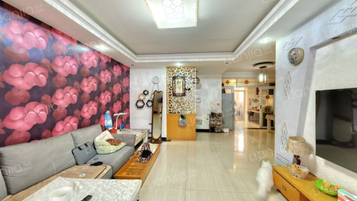 丁家高层公寓小区二手房实景图