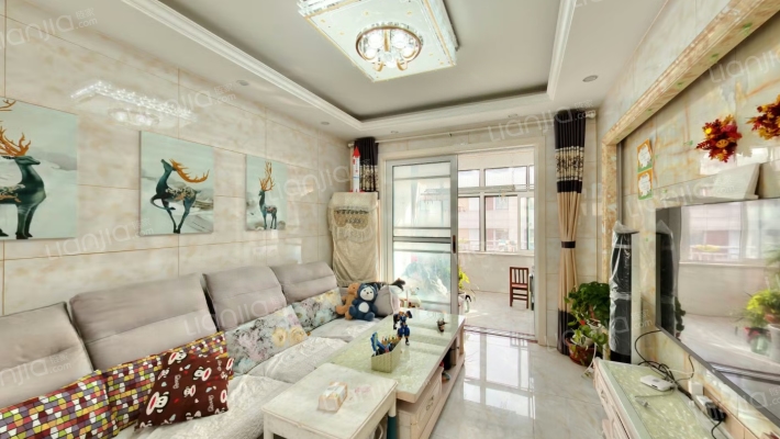 先中新村二手房实景图