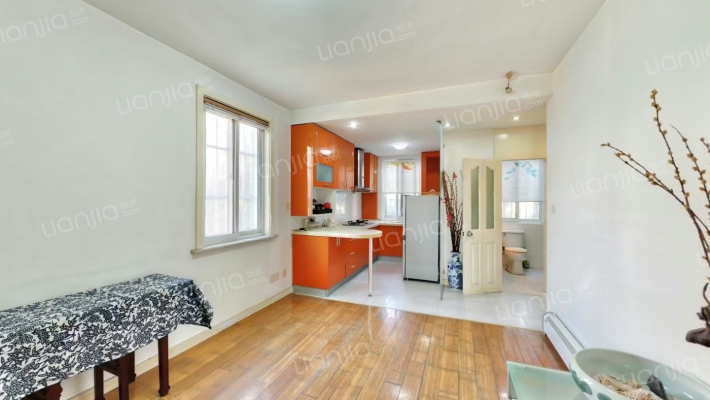 苏公弄散盘二手房实景图