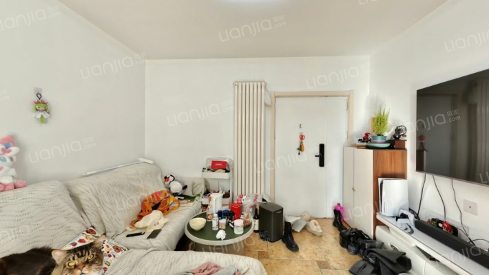 北苑家园望春园二手房实景图