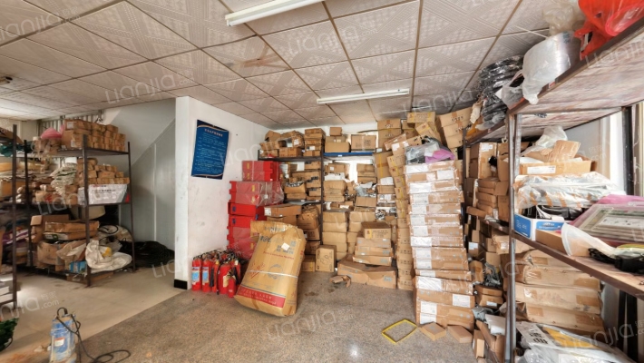 濠苑别墅二手房实景图